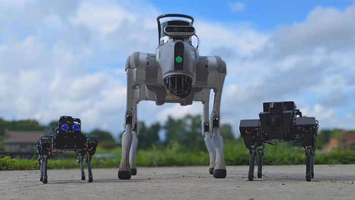 Ready to Deploy Adaptive AI Border Surveillance?